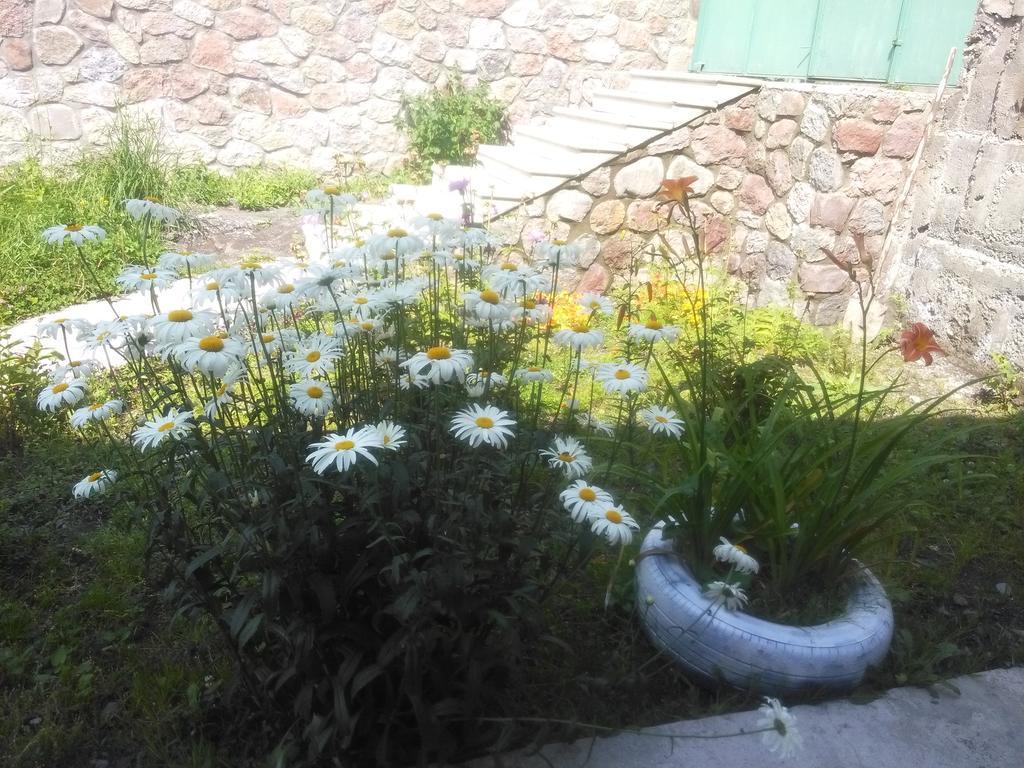Hotel Nestt Kazbegi Exterior foto